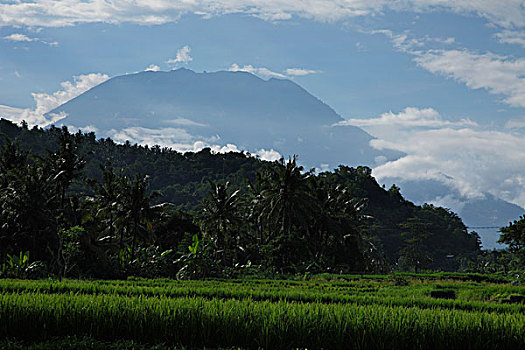 山,巴厘岛,印度尼西亚