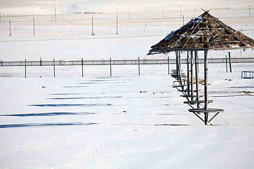 新疆哈密,雪韵生态