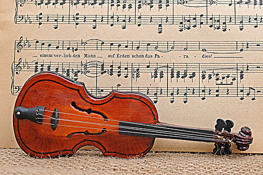 玩具,小提琴,正面,乐谱