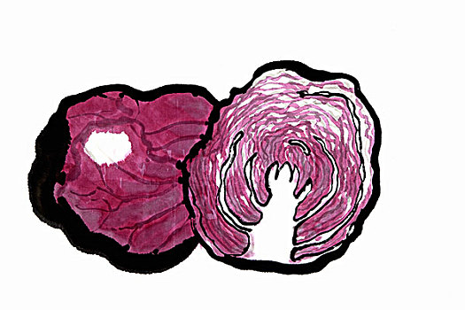 red,cabbage