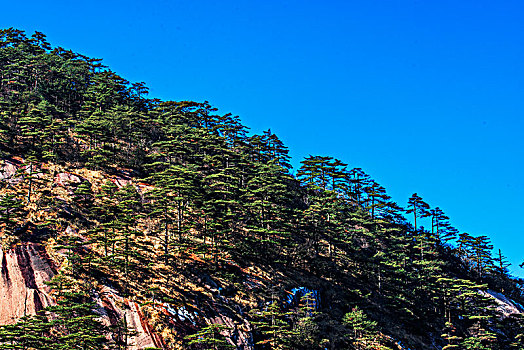 中国黄山,huang,shan,china