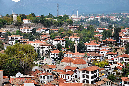 土耳其番红花城
