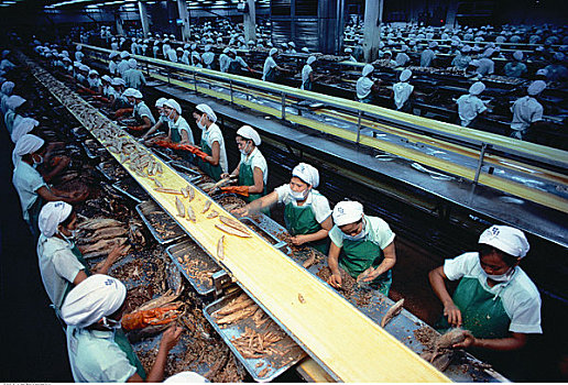 工人,鱼肉,加工厂,曼谷,泰国