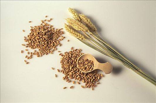 穗,谷物,小麦,小,舀具