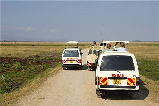 旅游,安伯塞利国家公园,肯尼亚