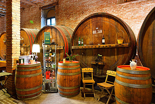 桶,地窖,葡萄酒厂,马希地区,意大利,欧洲