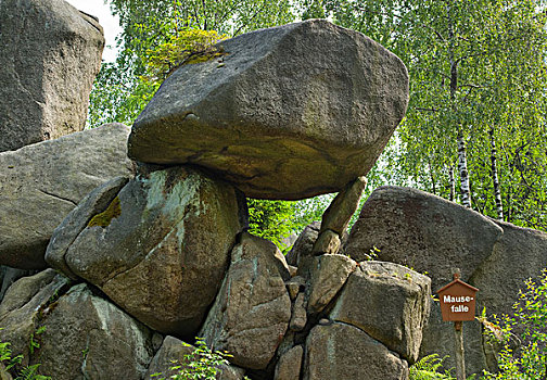 老鼠夹,岩石构造,靠近,戈斯拉尔,哈尔茨山,下萨克森,德国,欧洲