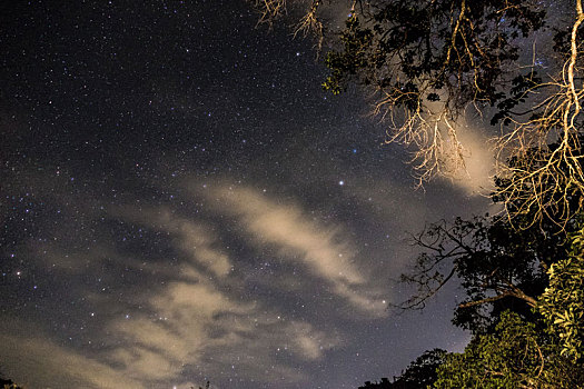 清晰,夜空,里约热内卢,巴西