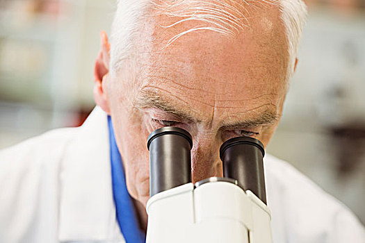 老人,科学家,工作,显微镜