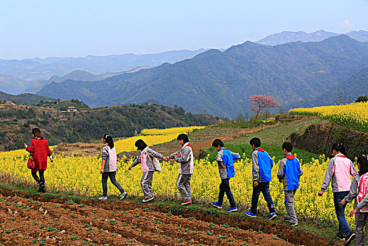 宁海,岔路镇,油菜花,田园,田野,春天,学生,春游,王爱山,乡村