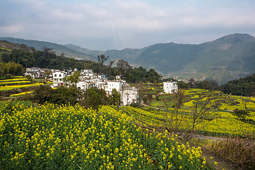 婺源乡村田园风光