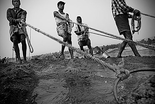 石头,收集,工作,堤岸,河,孟加拉,2000年,男人,专注,挤压,产业,河岸,一月,2008年