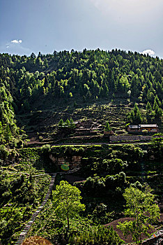 山西宁武县涔山乡悬空村,悬崖上的村庄,对面山上的树林