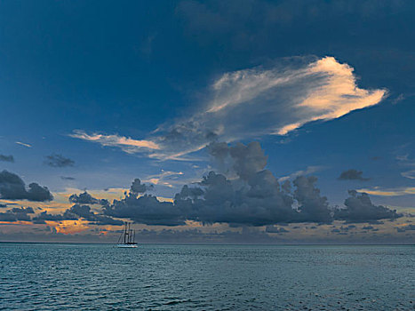 日落,云,海上,佛罗里达,美国