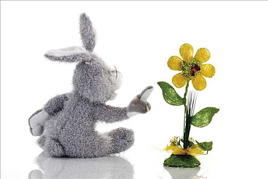 复活节兔子,毛绒玩具,指向,假花