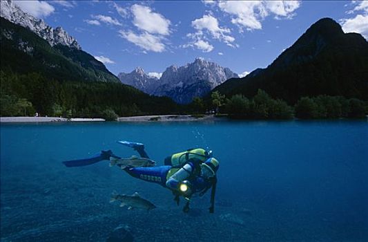 潜水者,潜水,高山湖,施蒂里亚,奥地利,欧洲