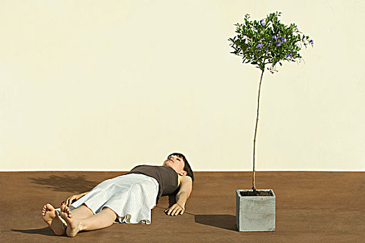 女人,躺着,地面,旁侧,盆栽,树,闭眼