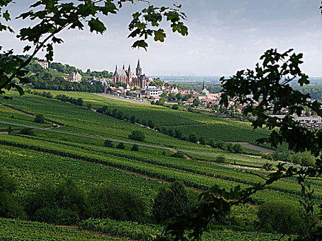 葡萄种植,区域,卡塔利涅恩教堂的雕刻,教堂,莱茵兰普法尔茨州,德国,欧洲