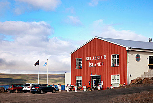 中心,房子,冰岛