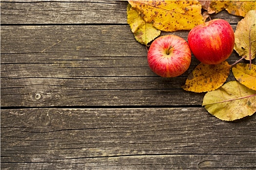 秋天,苹果,叶子