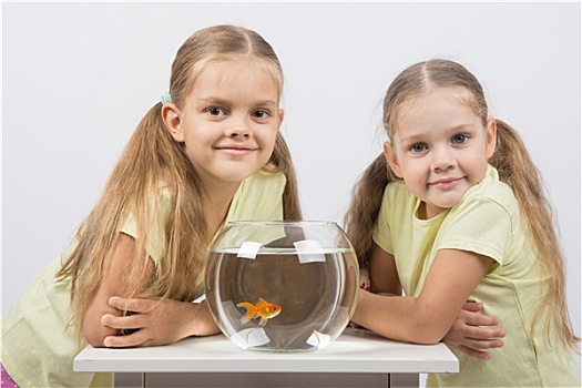 两个女孩,坐,圆,水族箱,金鱼,看,框