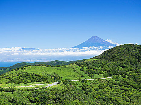 天际线,山,富士山,夏天