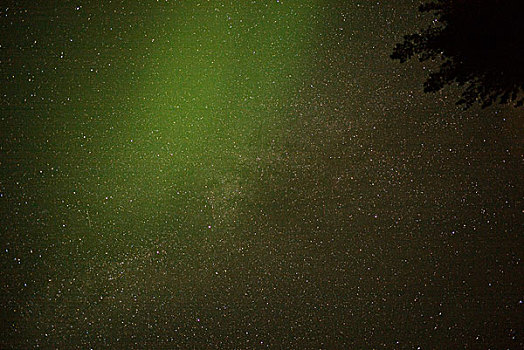 仰视,星星,天空,上方,湖,木头,安大略省,加拿大