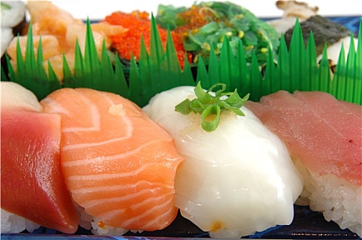 海浪,蛤蜊,三文鱼,鱿鱼,金枪鱼,寿司