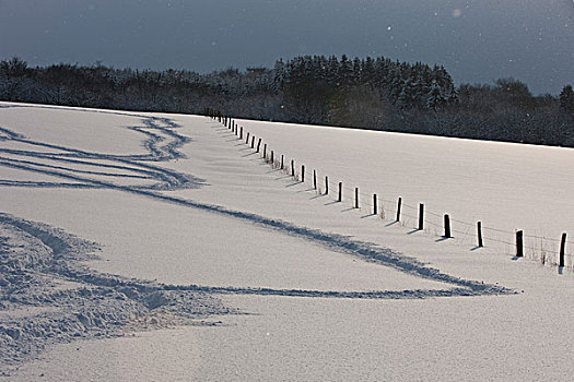 雪地