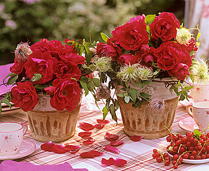 玫瑰,花盆,桌子