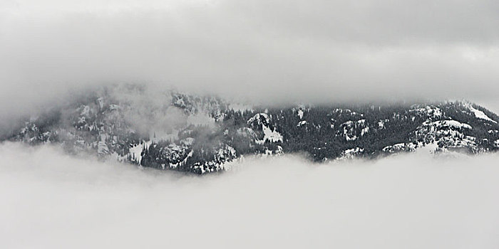 雾,上方,山,惠斯勒,不列颠哥伦比亚省,加拿大