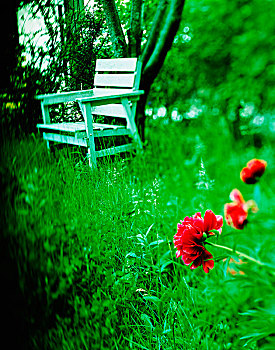 木椅,草坪,花,前景