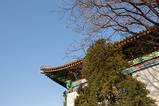 北京大学校内环境和风景