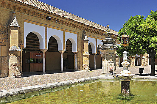 大清真寺,科多巴,风景,内庭,安达卢西亚,西班牙