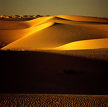 沙丘,日落,撒哈拉沙漠,沙,沙漠,阿尔及利亚,非洲