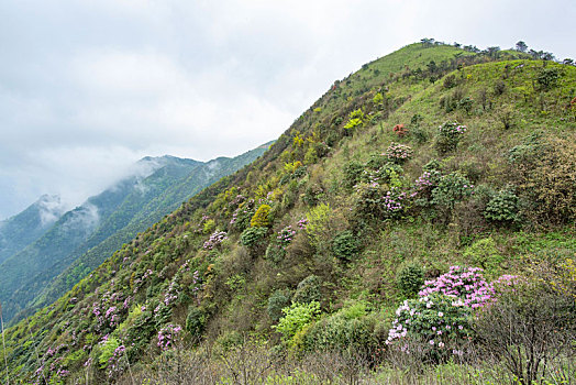 狮子口山峰