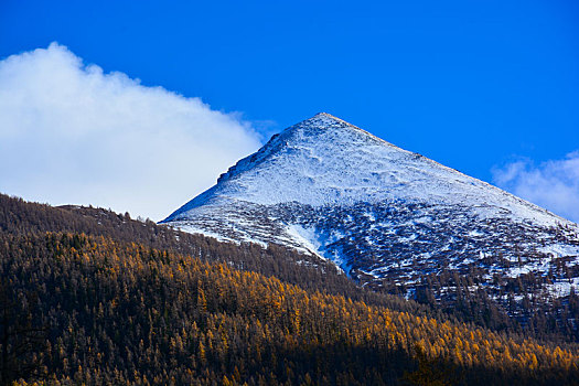 西北第一村白哈巴村秋日盛景