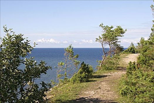 陡峭,海岸线,靠近,岛屿,爱沙尼亚,欧洲
