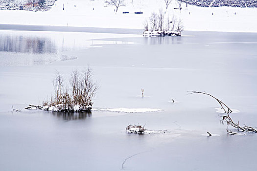 雪景