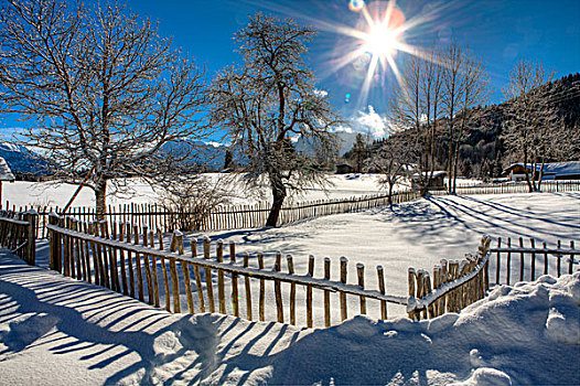 栅栏,冬天,乡村,山,太阳,逆光,上巴伐利亚,巴伐利亚,德国