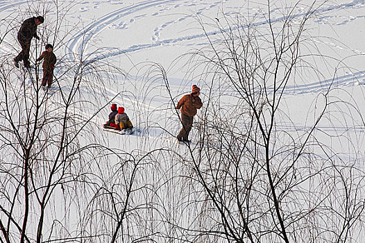 冬季在野外滑雪的小孩