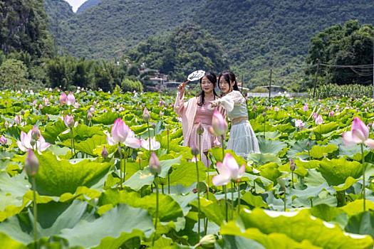 循环泵