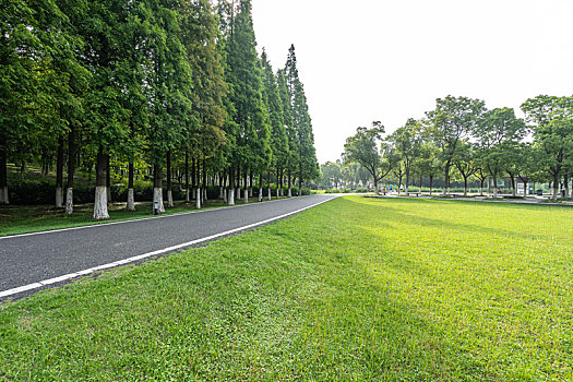 高速公路,天际线