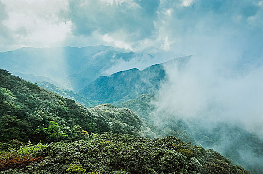 雾色山景