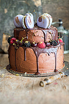 巧克力蛋糕,装饰,蛋白杏仁甜饼,浆果