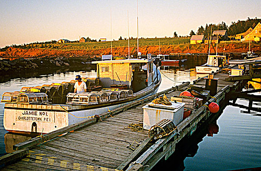 龙虾,捕鱼者,准备,陷阱,白天,爱德华王子岛,加拿大