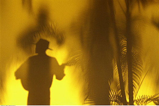剪影,人,弹吉他,靠近,棕榈树,黄昏,古巴