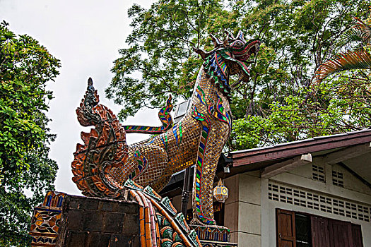 泰国清迈素贴山双龙寺著名的双龙石梯