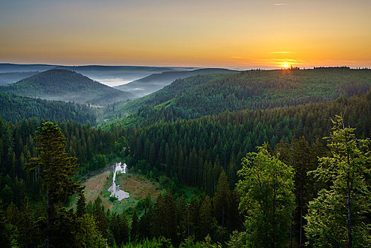 风景,注视,日出,北方,黑森林,巴登符腾堡,德国,欧洲