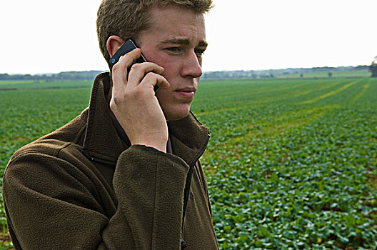 男青年,农民,交谈,智能手机,地点